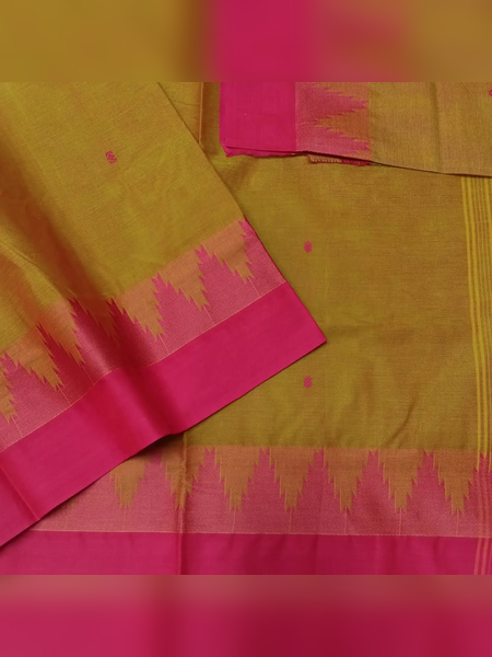 SS24-Olive-gold handloom cotton saree